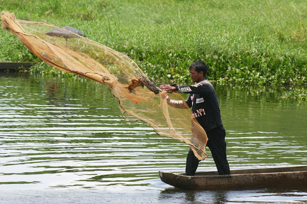 Lake Loktak is also a source of livelihood for the rural fisherman who live in the surrounding areas and on phumdis, also known as “phumshongs”.