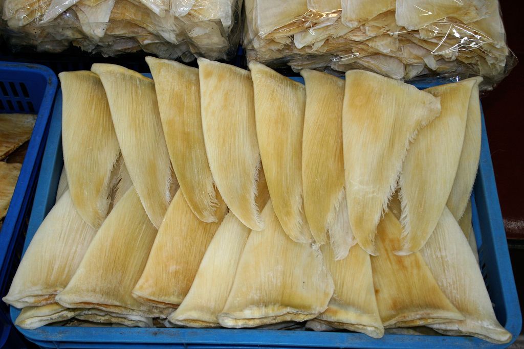 Dried shark fins at a market in Guangzhou, China.