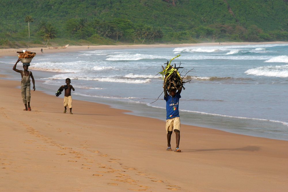 Carrying goods back home.