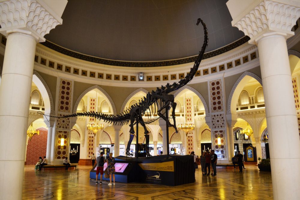 A dinosaur skeleton in a shopping mall