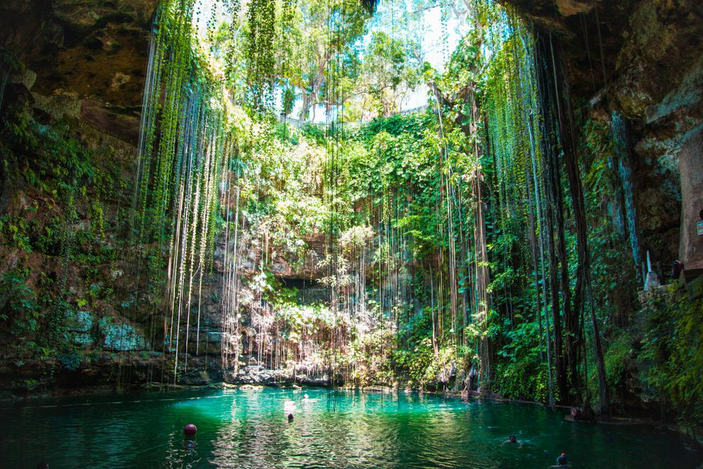 One of the most beautiful cenotes in Mexico is Ique Calle