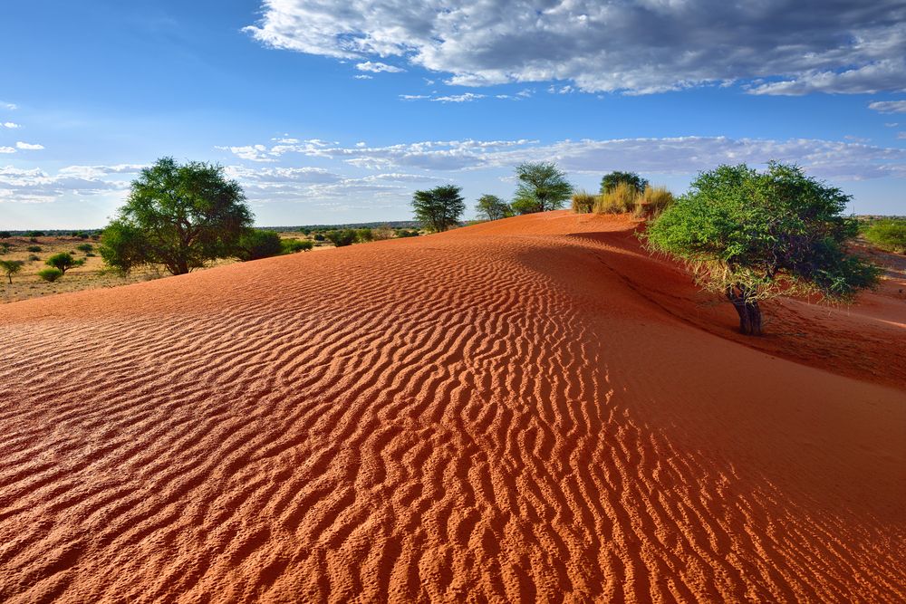 The incredible colors of the Kalahari Desert in South Africa
